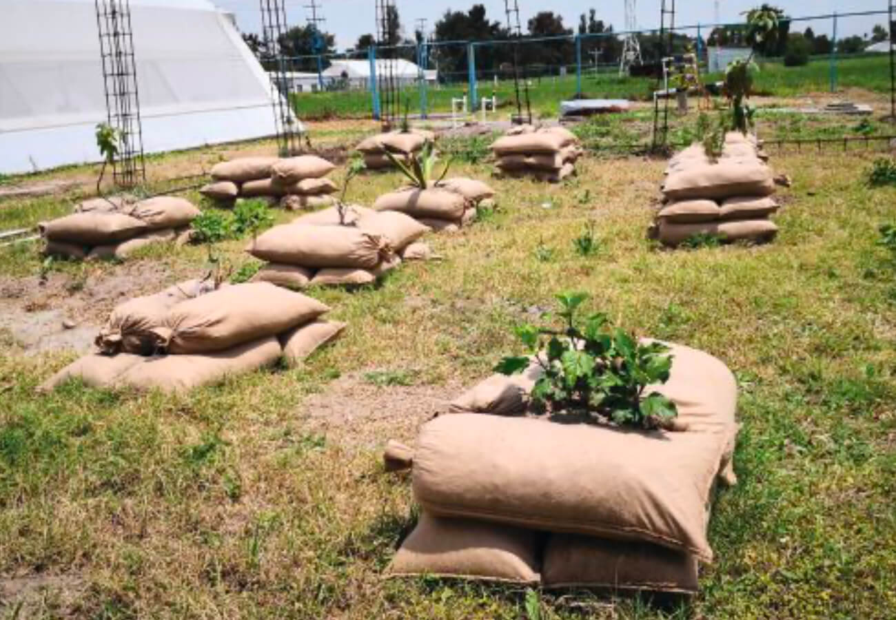 healthy-soil-strong-trees-erosion-control-usa